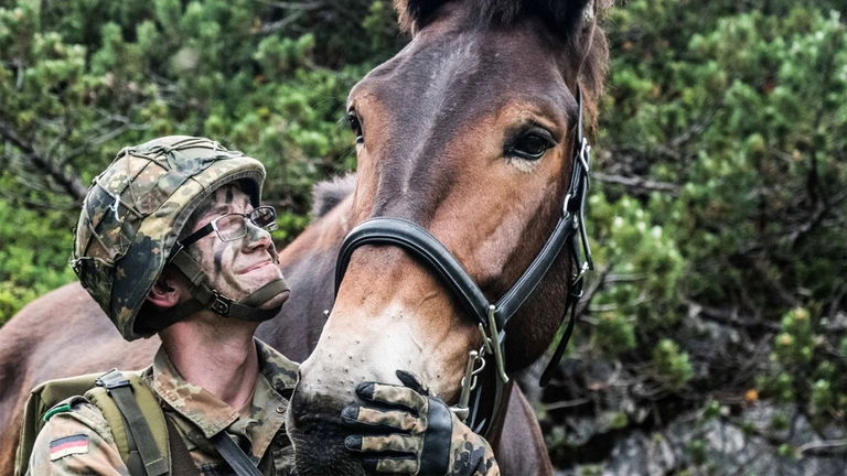 El US Army despliega un nuevo arma: mulas robóticas para ayudar a sus soldados a transportar cosas