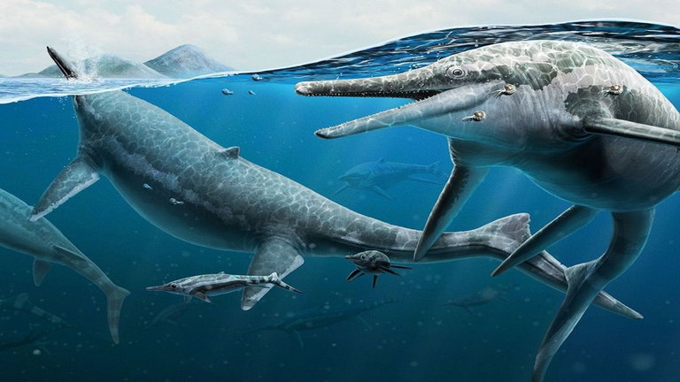 Un niño y su familia encontraron unos huesos, lo que no sabían es que eran de este monstruoso animal marino