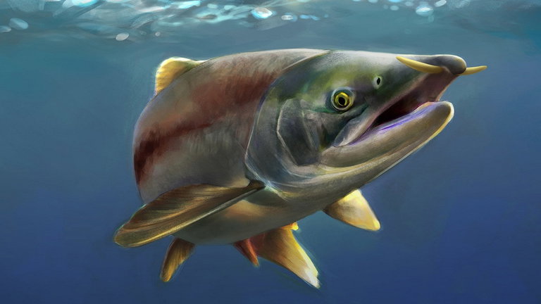 Era una especie de salmón, medía más de 2 metros y seguro que no te atrevías a hacer sushi con él