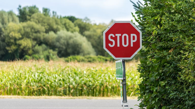 Cuál es la multa por saltarse una señal de Stop