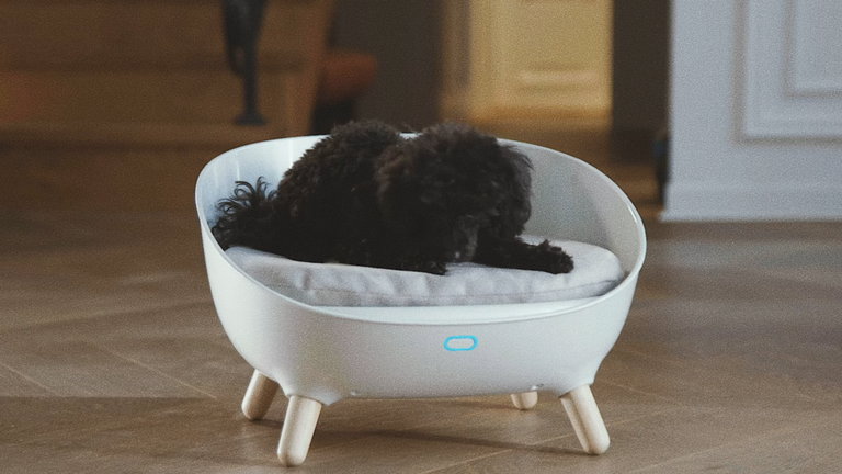 Necesito esta cama inteligente para mi perro: cámara, regulación de temperatura y conexión al teléfono móvil