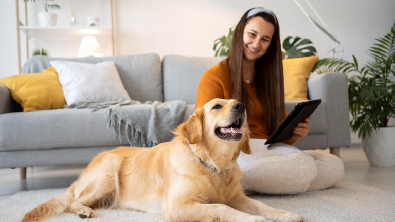 Cómo saben los perros qué hora es: así calculan el tiempo