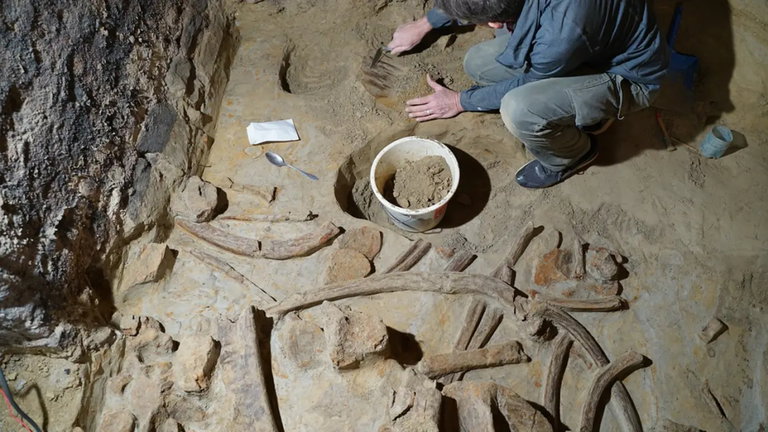 Empieza a hacer una reforma en su casa y se da de bruces con tres esqueletos de animales prehistóricos