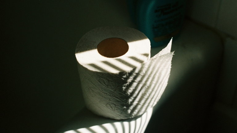 Esta es la manera correcta de colocar el papel higiénico y no admitimos discusión