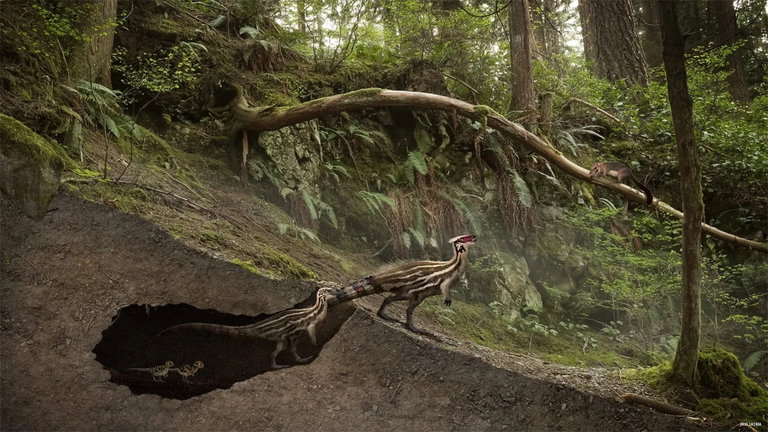 Un antiguo fósil nos enseña cosas nuevas de los dinosaurios: llegaron a vivir en madrigueras subterráneas