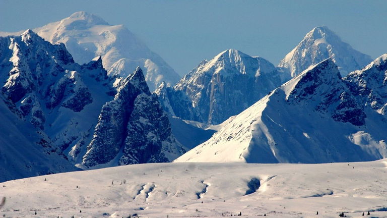 Los glaciares de Alaska se encuentran en el filo de la navaja: podrían estar a punto de desaparecer