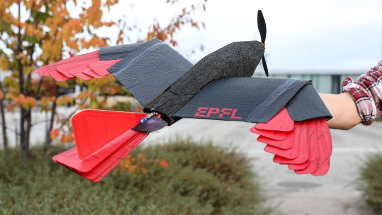 Investigadores suizos buscan la manera de que los drones puedan parecerse más a los pájaros