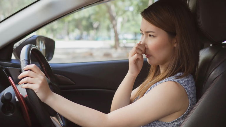 Cómo quitar el olor de un coche viejo: los mejores trucos