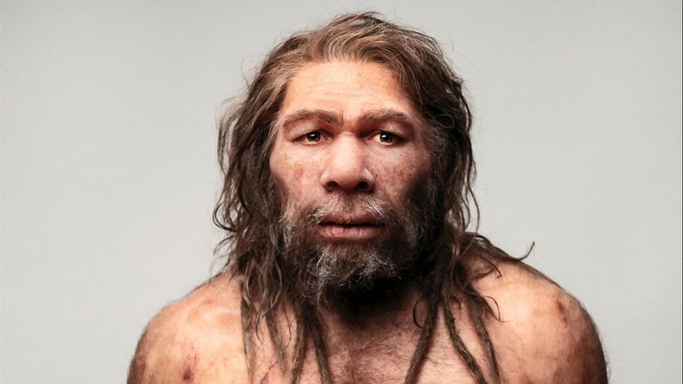 La ciencia despeja las dudas y descubre qué elemento fue clave en la evolución del ser humano