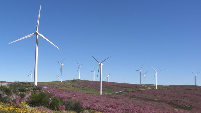 La razón de por qué vemos molinos parados a pesar de que haya viento