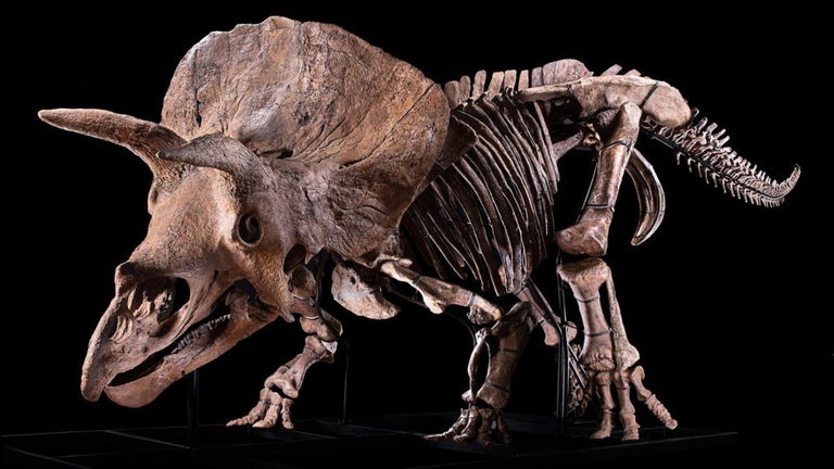 Los dinosaurios herbívoros no necesitaban ir al dentista: los dientes de estos animales crecían sin parar