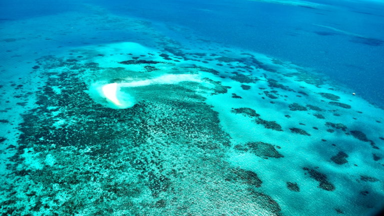 La humanidad debe reaccionar: la Gran Barrera de Coral alcanza su mayor temperatura en 400 años