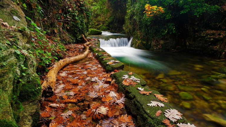 Es una fiesta perfecta para el otoño, acaba de ser proclamada de Interés Turístico Internacional y se encuentra en esta provincia española