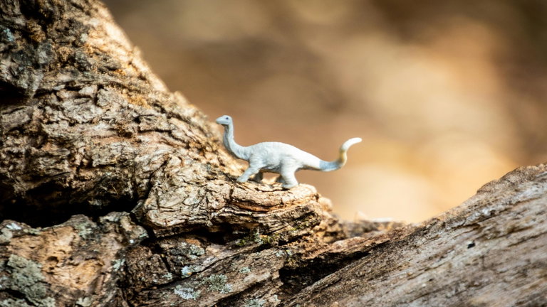Han hallado un nuevo tipo de dinosaurio: es pequeño, raro y vivió en Norteamérica