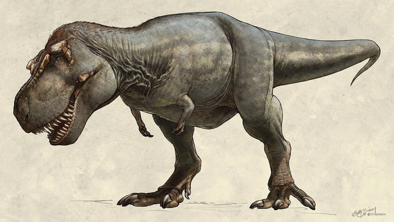 Redescubren un antiguo fósil perdido en un cajón que podría cambiar todo lo que sabemos del Tiranosaurio rex