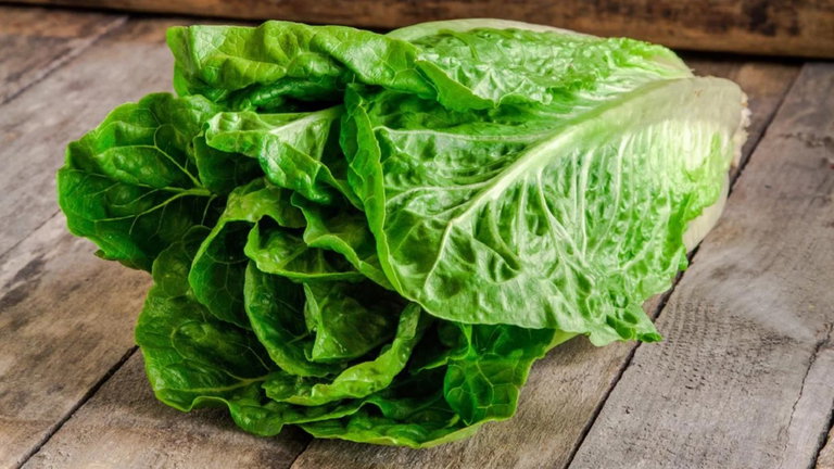 Un equipo de investigadores españoles crea una nueva super lechuga: es dorada y todo un espectáculo