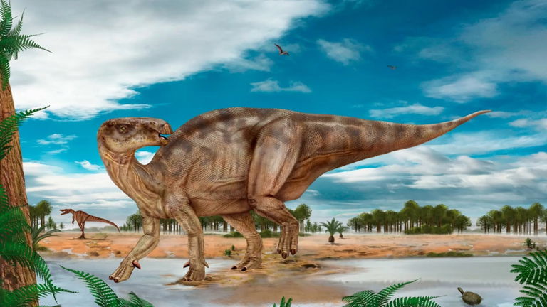 Este fue el primer dinosaurio encontrado en España. No fue un tiranosaurio, pero es una especie icónica del Mesozoico