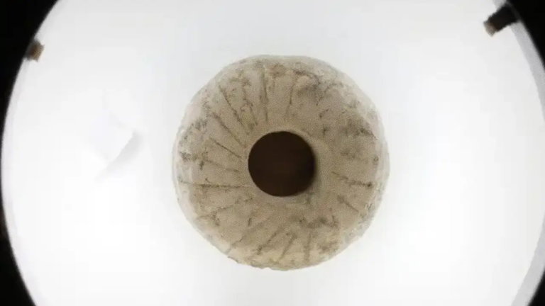 Tienen 12.000 años de antigüedad y han sido desenterrados en Israel, los científicos creen que estos objetos son los precursores de la rueda