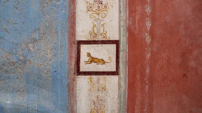 Pompeya todavía guarda secretos increíbles. Encuentran una antigua vivienda que nos muestra obras de arte romanas desconocidas hasta ahora