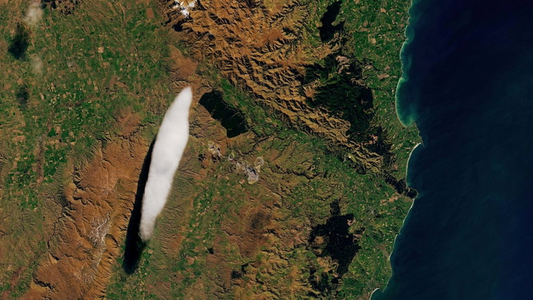 Esta es la mascota más extraña jamás vista en el planeta: es una nube y suele acudir al refugio de Nueva Zelanda
