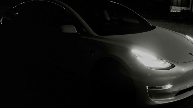 Terrible accidente a bordo de un Tesla: el sistema de conducción autónoma total no sólo no evita colisionar con un ciervo, sino que ni tan siquiera frena
