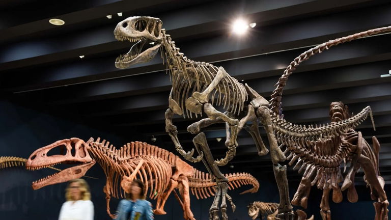 Los dinosaurios argentinos invaden Madrid. Si todavía no los has visto, podrás hacerlo en esta exposición que hay cerca de Atocha