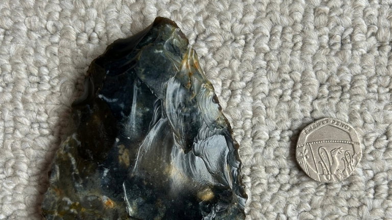 Estaba dando un paseo y se topó con una piedra afilada. Ahora han descubierto que podría tratarse de un hacha prehistórica
