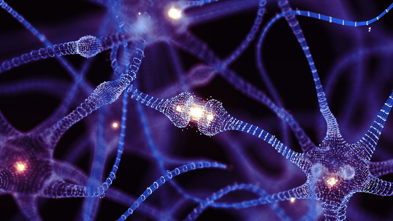 Esta célula artificial está fabricada con tecnología láser y es capaz de funcionar 1.000 millones de veces más rápida que las neuronas de tu cerebro
