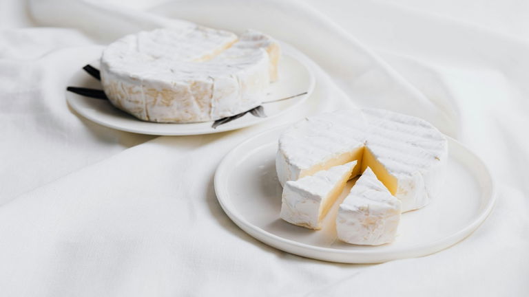El queso más peligroso del mundo tiene nombre: "Casu marzu". Se produce en Italia y ha tenido que ser prohibido por la Unión Europea