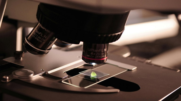 Tiene 4.400 millones de años y es el objeto más antiguo que tenemos: fue encontrado en Australia y hay que verlo con un microscopio
