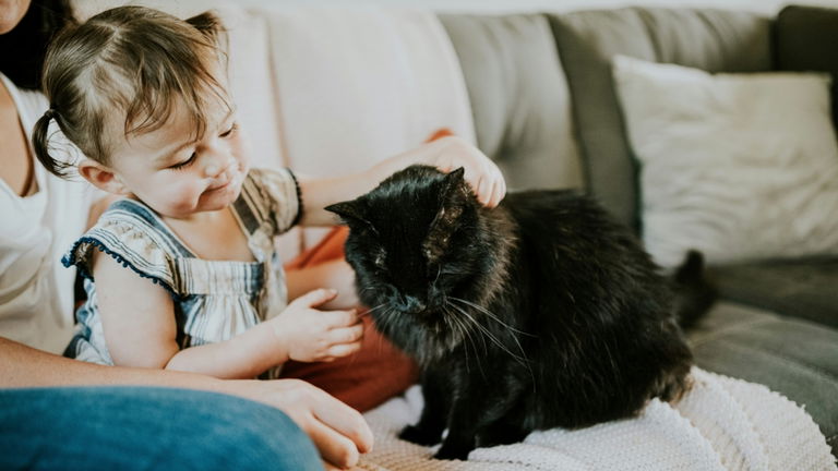 Gatos vs bebés: la ciencia por fin ha averiguado cuál de los dos es más listo