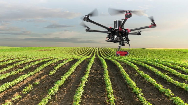 Los drones se convierten en el futuro de las labores agrícolas en China. Los agricultores han llevado su trabajo al último nivel tecnológico