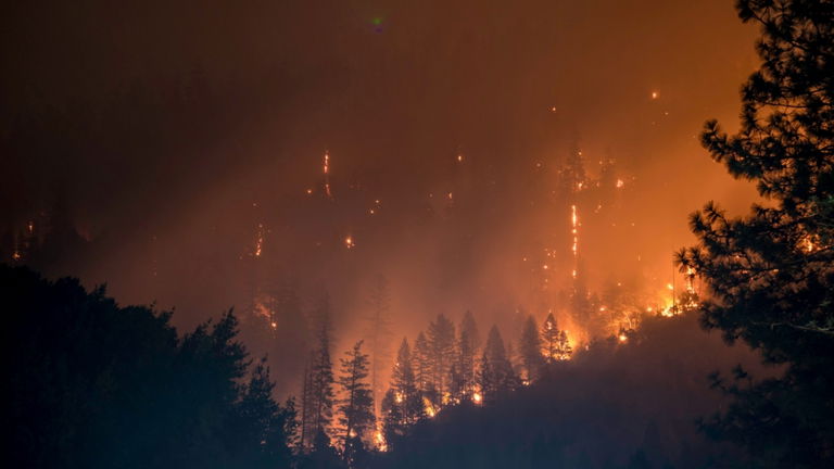 Los científicos lo tienen muy claro: se puede echar la culpa del incendio de Los Ángeles al cambio climático