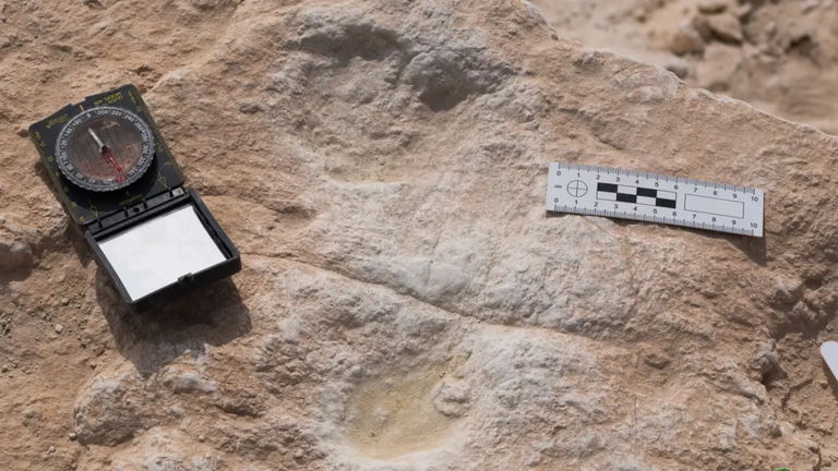 Un equipo de arqueólogos descubre unas huellas humanas de hace 100.000 años. El problema es que no deberían estar en ese lugar
