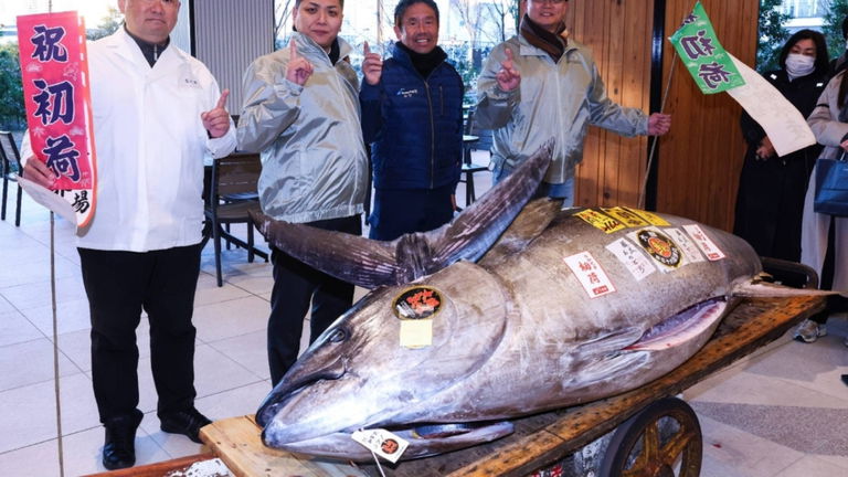 Este atún pesa casi 300 kilos y ha alcanzado un precio exorbitante en este mercado japonés. Si tienes un millón de dólares podría ser tuyo