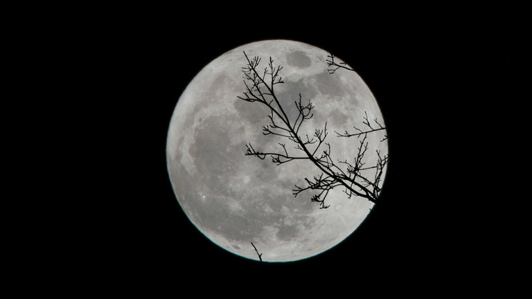 La Luna inaugurará su primera base de datos en febrero. No es de la NASA, sino de esta otra empresa estadounidense