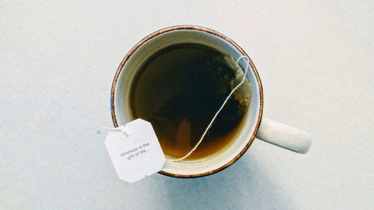 Tomar té e infusiones no ayuda al planeta Tierra: las bolsitas están repletas de microplásticos