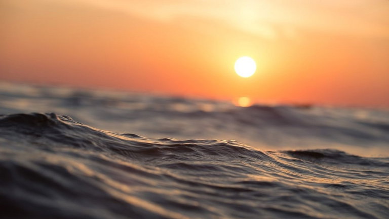 Los estudiosos del clima se quedan sin habla tras ver el reciente aumento de la temperatura. El mes de enero llega a nuevos récords