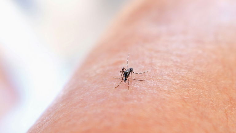 Bill Gates, el millonario filántropo que está luchando contra una terrible enfermedad: "Estamos a punto de erradicarla"