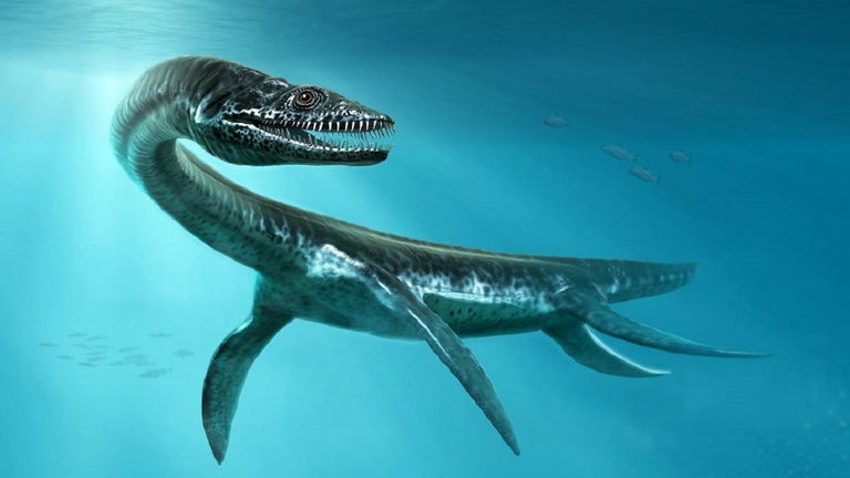 Los restos de este animal marino son un auténtico mosaico. El fósil parece sacado del Lago Ness, pero existió de verdad