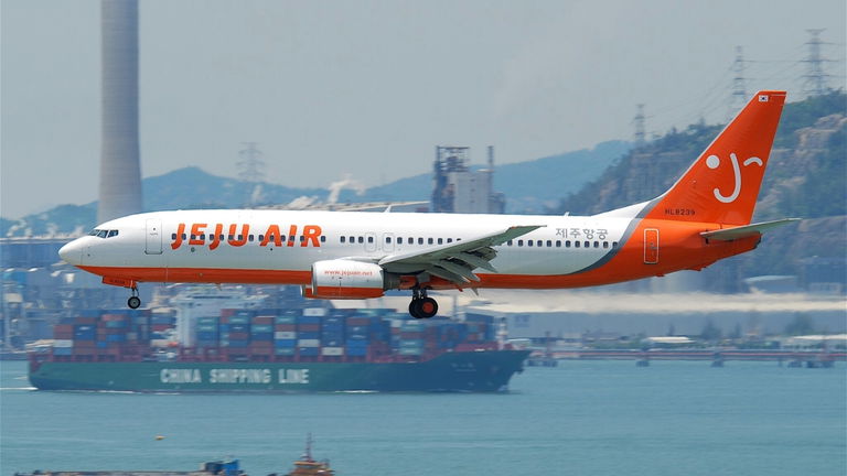 Las investigaciones preliminares del accidente aéreo en Corea ya tienen un culpable: una bandada de patos