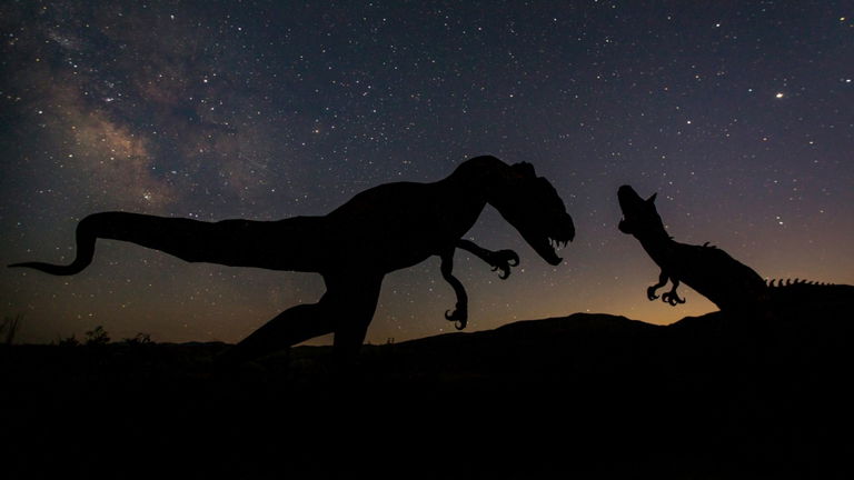 Ciara O'Donovan, doctora en zoología, indica cuál fue la verdadera causa de la extinción de los dinosaurios: "fueron víctimas de su propio éxito"