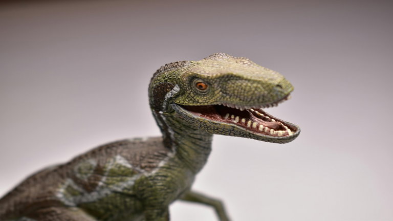 La Australia prehistórica era todavía más peligrosa que la actual. Acaban de descubrir al dinosaurio que atemorizaba este continente