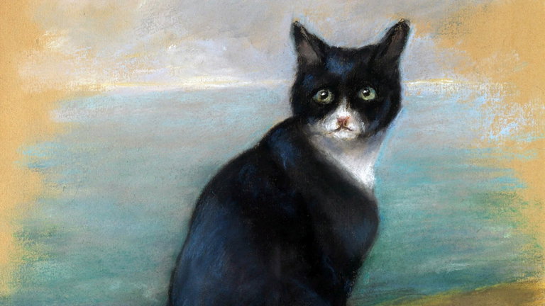 Se llamaba Óscar y fue uno de los gatos más famosos de la historia: sobrevivió a tres naufragios en la Segunda Guerra Mundial