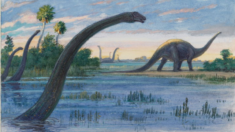 Los avistamientos de dinosaurios en el Congo aumentan. ¿Podría existir estos animales en África? Hay serias dudas sobre ello