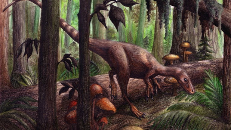 ¿Existieron las plumas antes de los dinosaurios? Los científicos no saben responder, pero tienen una solución para ello