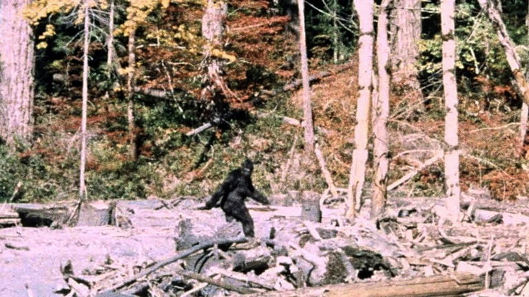 Los "bigfoots" también existieron en Rusia. Este historiador decía que eran supervivientes del pasado y parientes nuestros