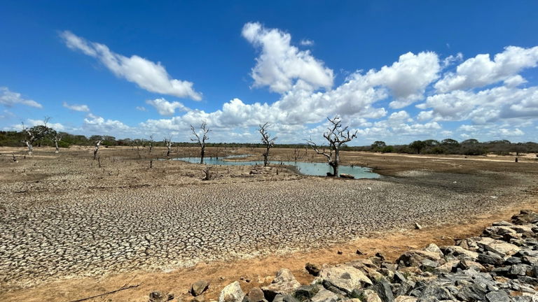 Los expertos y científicos del IPCC señalan cuales son las consecuencias de la falta de agua: "Las sequías en España cuestan cerca de 1.500 millones de euros al año"