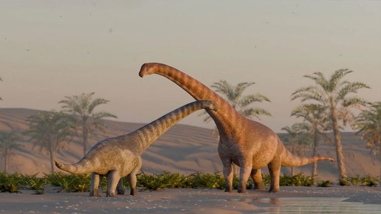 Argentina es el país de los grandes dinosaurios y ahora acaban de encontrar uno más: era herbívoro y medía casi 8 metros