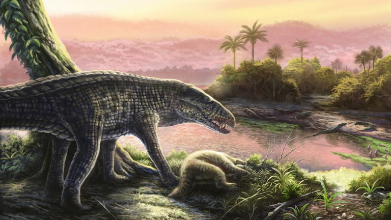 Un primo lejano de los cocodrilos dominó el Caribe después de los dinosaurios. Era una bestia sanguinaria parecida a un perro